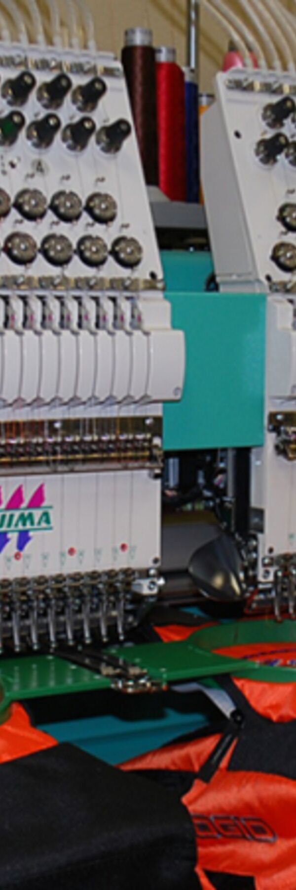 tajima-1024x450.jpg Thumbnail