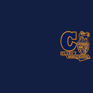 Ladies Clark MS Polo Design